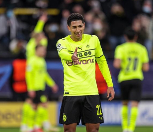 开始引进国 开始引进国